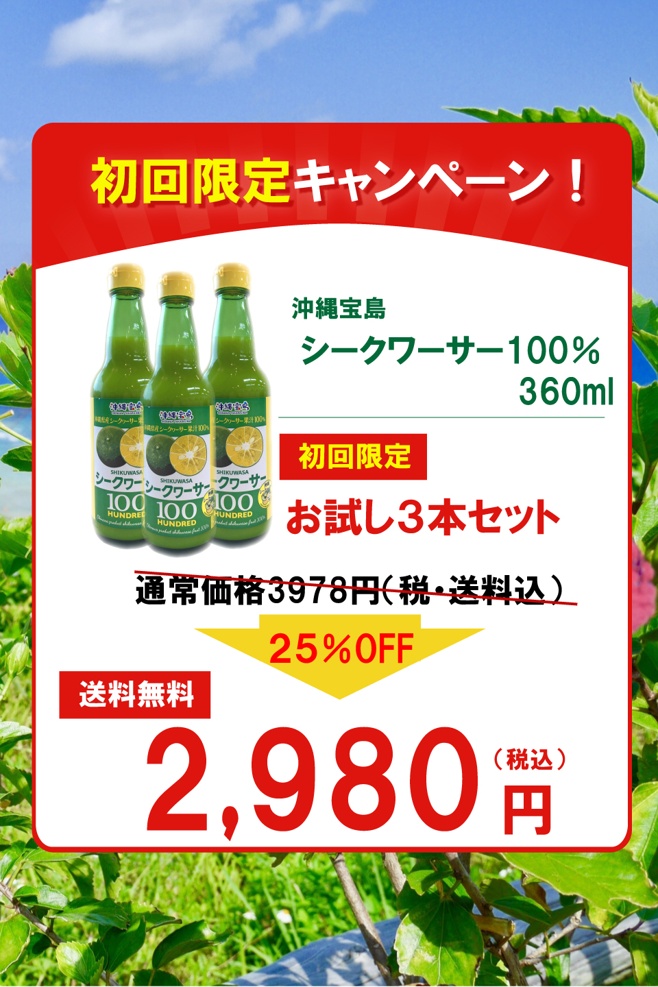 沖縄宝島　シークワサー　果汁100%　360ml×12本