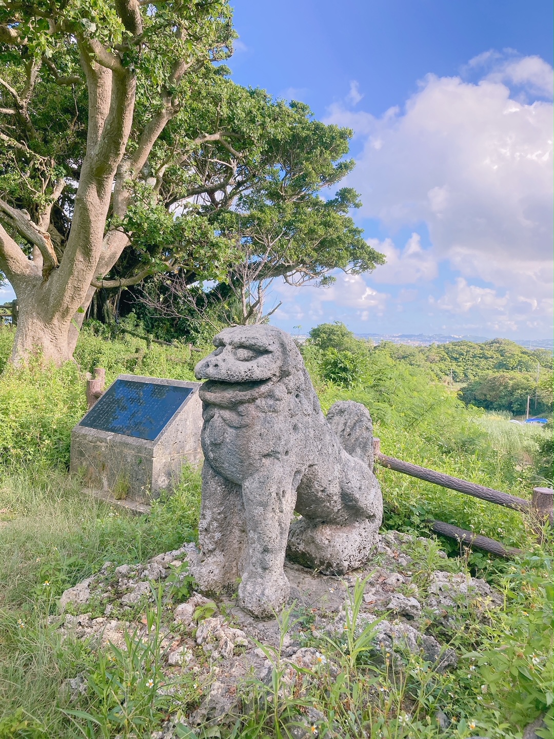 八重瀬岳へ向かって | 沖縄宝島つうしん