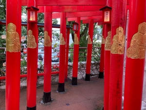 ぶながやのみた夢 | 沖縄宝島つうしん